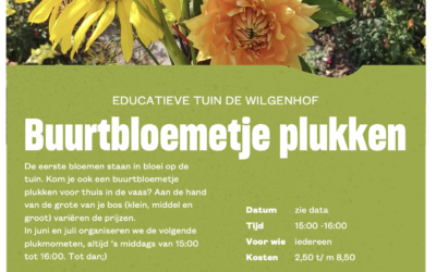 BUURTBLOEMETJE BIJ DE WILGENHOF