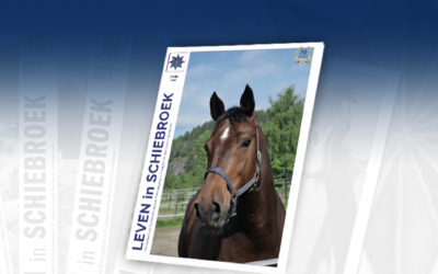 LiS-magazine zomer 2026